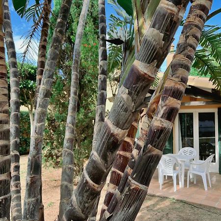 Bungalow Tropical Nº6 - Son Xoriguer Apartman Kültér fotó