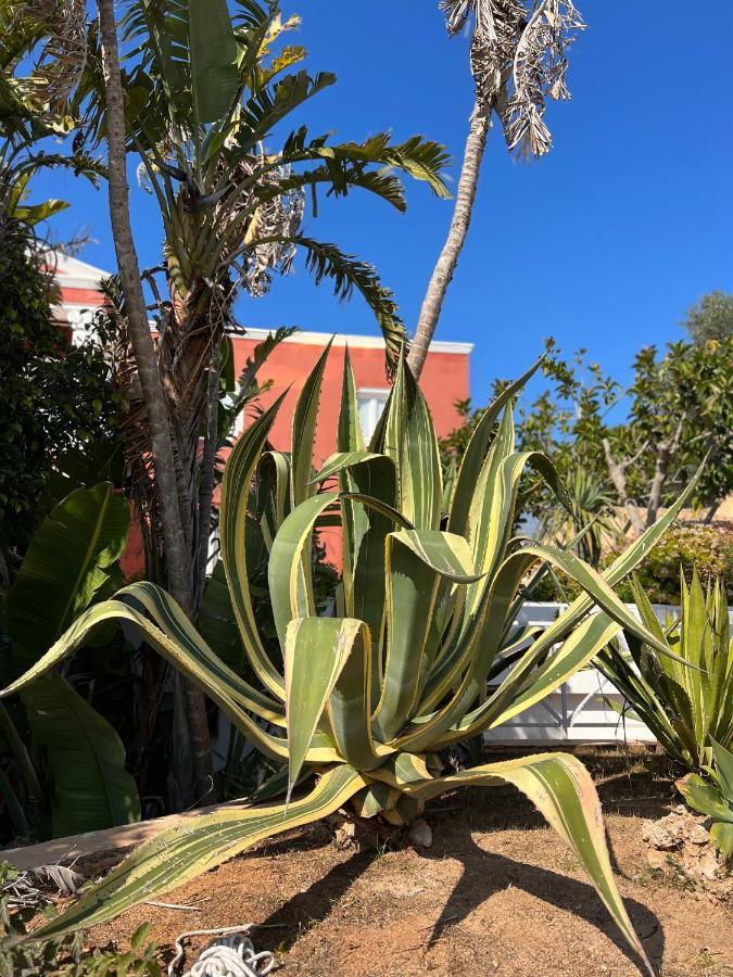 Bungalow Tropical Nº6 - Son Xoriguer Apartman Kültér fotó